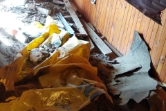 IMG_20190223_113944_BURST1